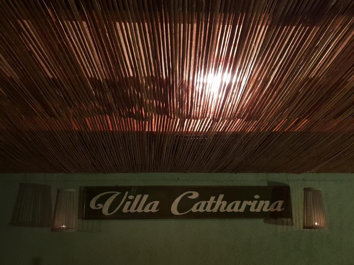 Catharina * Lorgues